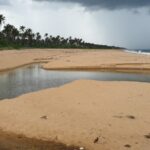 හම්බන්තොට වන අලි කළමනාකරණ රක්ෂිතය ගැසට් කිරීමේදී හෙක්ටයාර 1384ක් දේශපාලන හිතවතුන්ට අතහැරලා