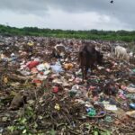 மண்டைத்தீவின் உயிரியல் பெருமை: வளர்ச்சிக்கும் பாதுகாப்புக்கும் இடையிலான சமநிலை