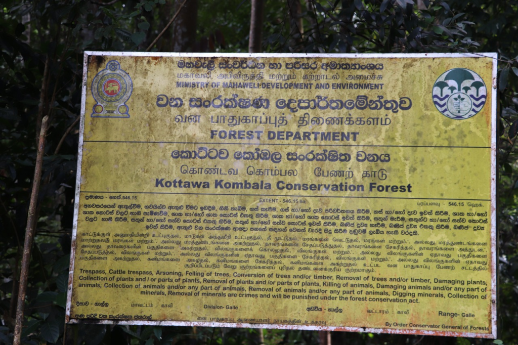 ඉඩම් ජාවාරම්කරුවන් ගාල්ල දිසා වන නිලධාරී හා වෛද්‍ය නිශාන්ත සමරවීර මන්ත්‍රීවරයා මුලා කර කොට්ටව – කෝඹල වනයේ රක්ෂිත ඉඩම් බෙදා ගැනීමට සූදානම් වෙයි