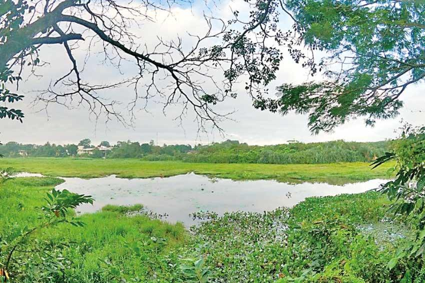 Importance of Wetlands in Climate Change