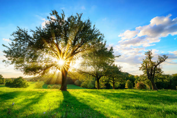Health experts warn of deadly heat risk