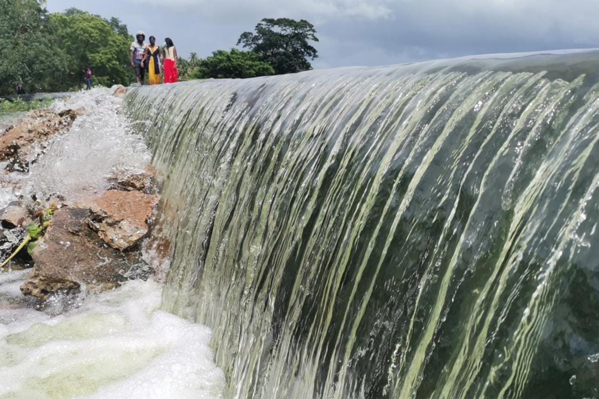 Impact on the environment