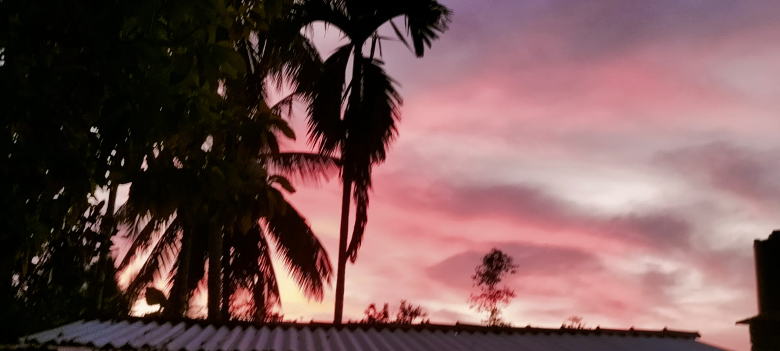 Art of the sky