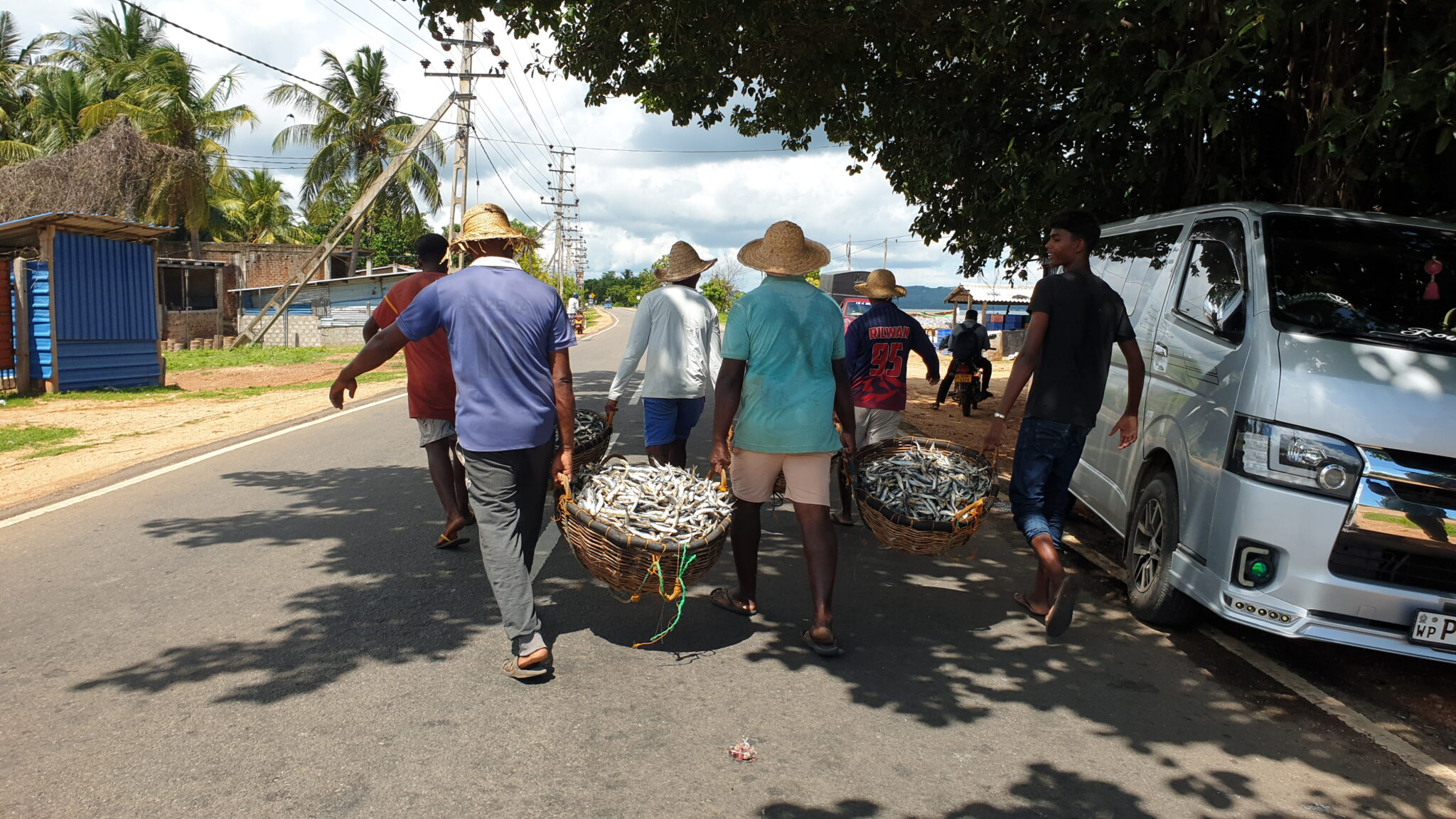 Dried Fish Trade